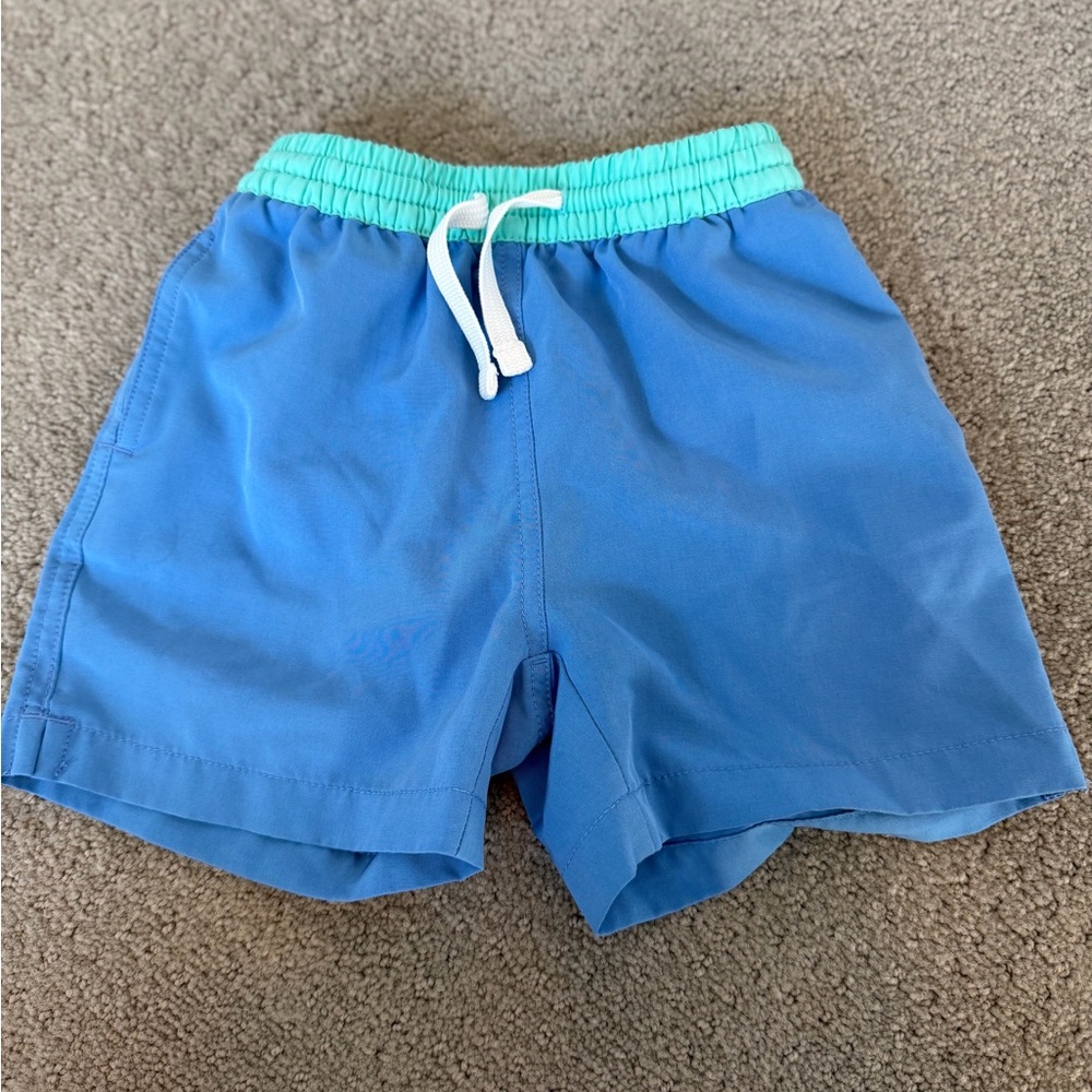 Blue and Green Chubbies Swim Trunks